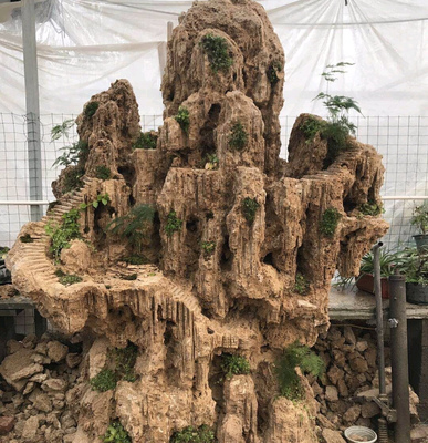 直擊:假山盆景的制作過程,你喜歡這種盆景嗎?