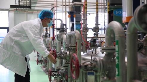 責任民企顯擔當，靠上服務助復產——泰安生物技術企業馳援抗疫一線